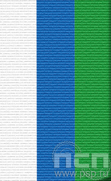 ЛЕНТА ОРДЕНСКАЯ (24 мм) 25.021