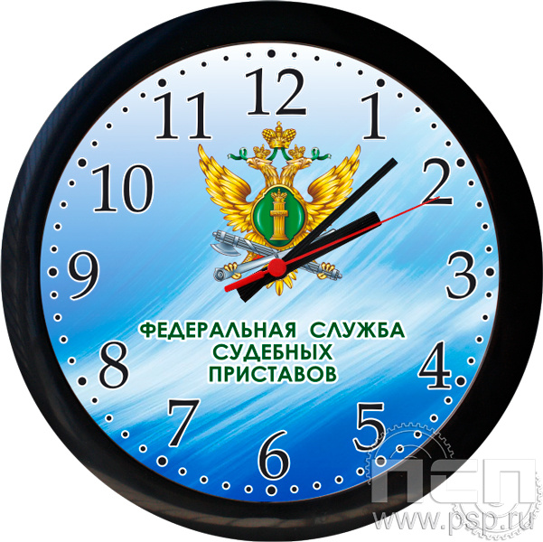 2.4.2.11. Часы настенные "Салют" "ФССП"