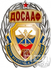 41.2. Нагрудный знак "95 лет ДОСААФ России"