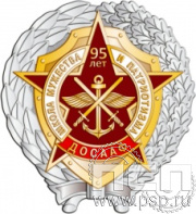 306.14. Нагрудный знак "95 лет ДОСААФ России"
