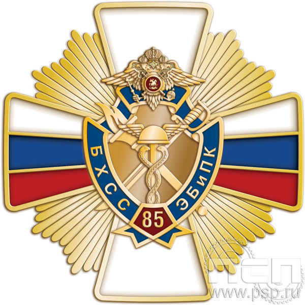 244.35. Нагрудный знак "85 лет БХСС ЭБ и ПК"