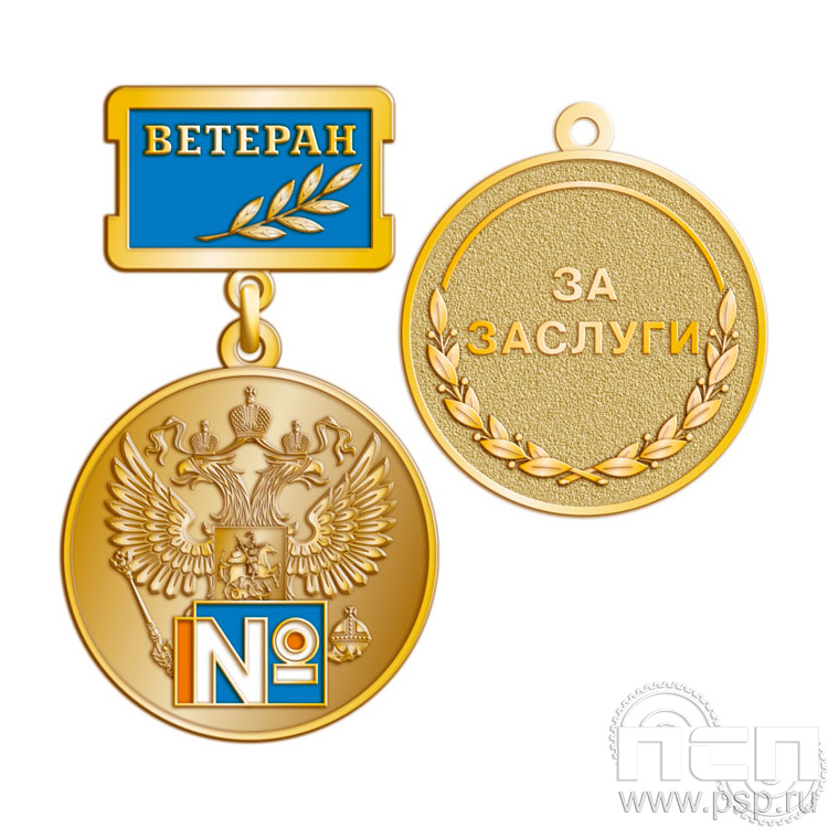 245.0.2. Медаль Ветеран "95 лет Ростехинвентаризация Федеральное БТИ"