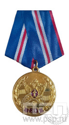 Медаль "25 лет специальные подразделения уголовно-исполнительной системы ФСИН" 245.0.1(а)к