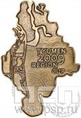 731.0. Значок Tyumen 2009 region cup