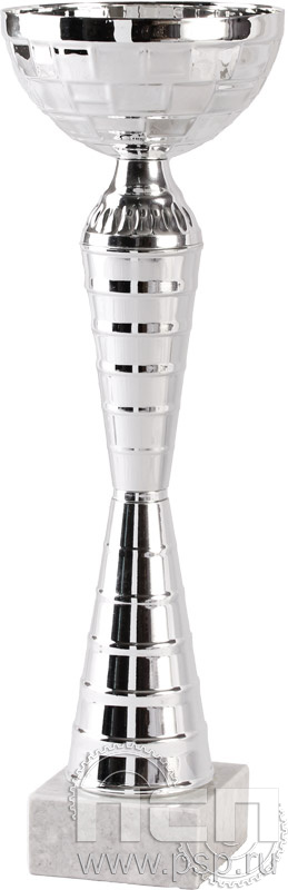 Кубок 9101E (24.5см) D-80