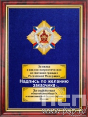 5.7.22.50. Панно со знаком на бархате "95 лет ДОСААФ России"