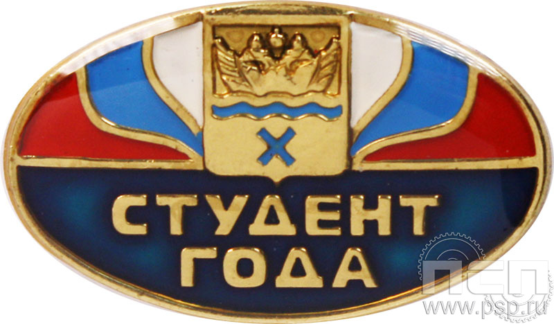 Значок Студент года 019.0к