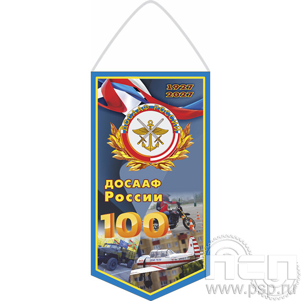 12.1.1. Вымпел бумажный ламинированный А6 12.1.2 Вымпел тканевый А5 "100 лет ДОСААФ России"