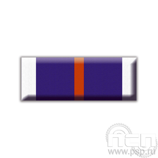 6.6.1. Планка орденская к медали "30 лет Служба дознания МВД России"