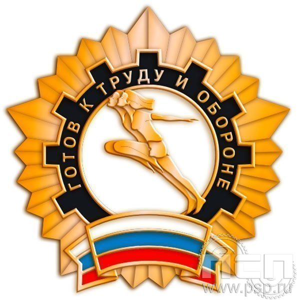 1252.0. Значок Готов к труду и обороне 3 разряд