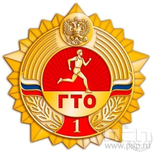 1347.0. Значок ГТО нового образца 1 степень