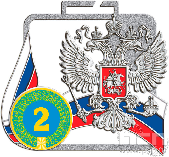 картинка МП-70х65-25-S Медаль 