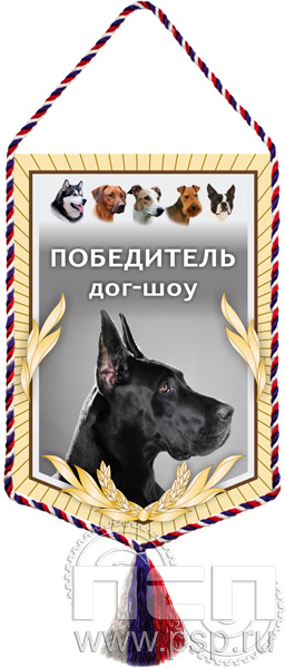 12.1.2. Вымпел тканевый "Победитель шоу"