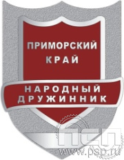 1503.0. Нагрудный знак "Народный дружинник"