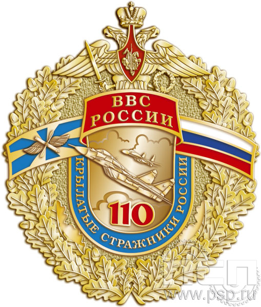 53.13. Нагрудный знак "110 лет ВВС России"