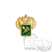 428.0. Значок "ФТС России"