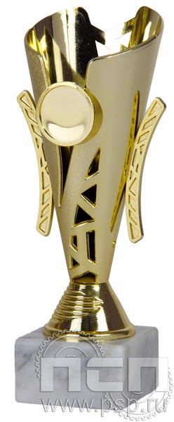 Кубок 9675A (21 см)