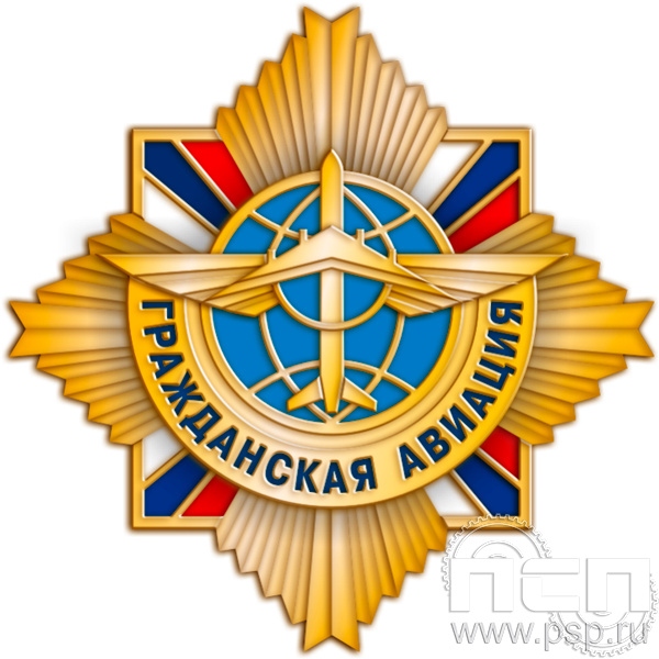 296.9. Нагрудный знак "100 лет Гражданская авиация"