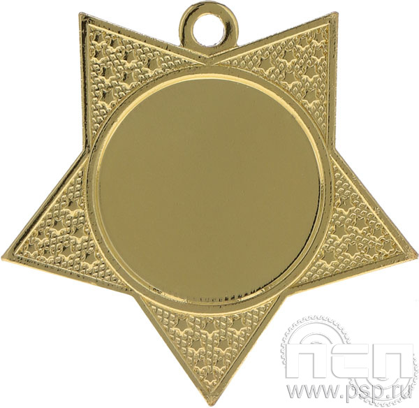 Медаль MMC18050/G 50*50(25) G-2мм