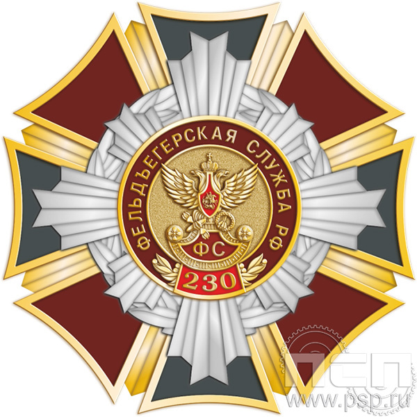 5.3(a). Нагрудный знак "230 лет Государственной фельдъегерской службы РФ"