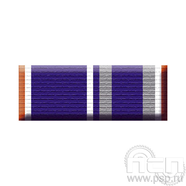 6.6.1. Планка орденская к медали "30 лет БСТМ МВД России"