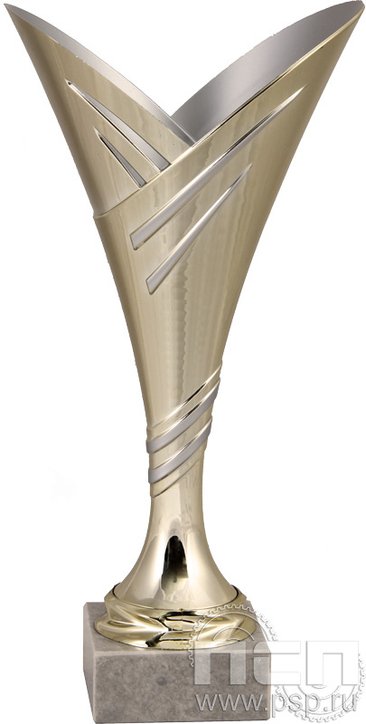 Кубок 8031C (30см)