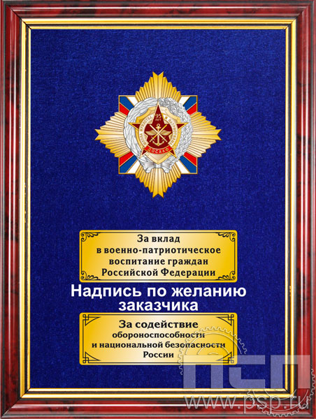 5.7.22.50. Панно со знаком на бархате "95 лет ДОСААФ России"