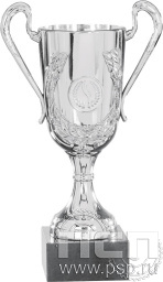 Кубок 9030B (17см)