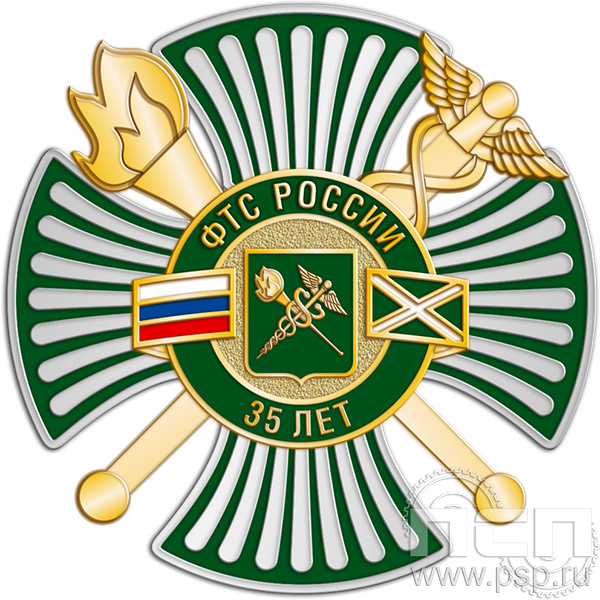 79.20 Нагрудный знак 3 уровня " 35 лет ФТС России"