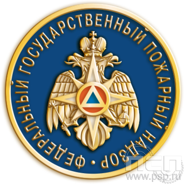 157.0 Знак "100 лет государственный пожарный надзор"