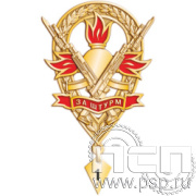 Картинка MO10 нагрудный знак "за штурм"