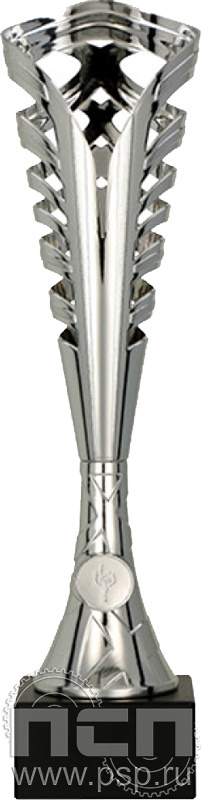Кубок 9231A (41см)
