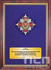 5.7.01.199. Панно с нагрудным знаком "25 лет ООПАЗ МВД России" на бархате в рамке