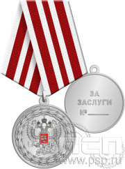 Медаль ФНС-5 «За заслуги» 