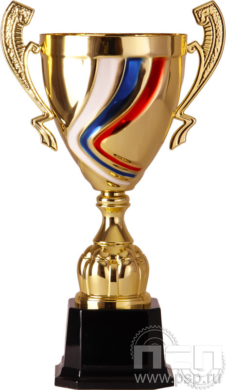 Кубок 2004E Триколор (36 см) D-140