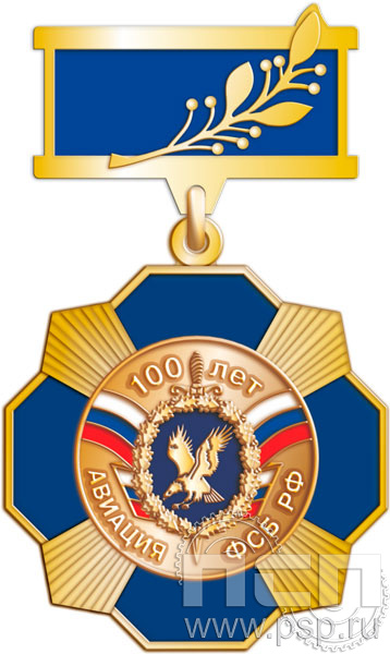 120.1.8. Нагрудный знак "100 лет Авиация ФСБ"