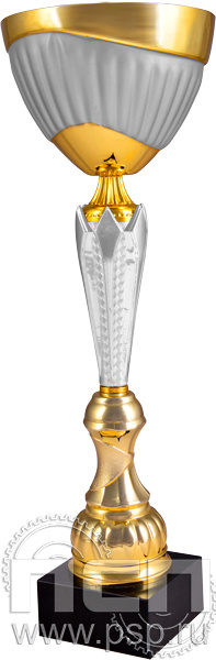 Кубок 4132E (31см) D-100