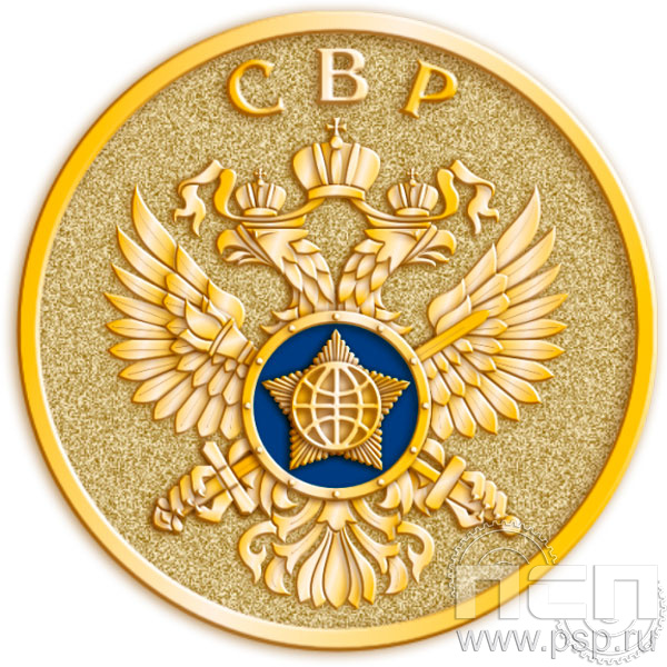 Значок "95 лет Служба внешней разведки" латунь 001.0к