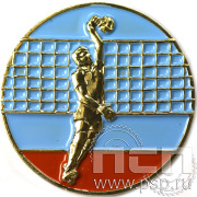 Значок "Волейбол" 005.0к