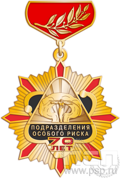 5.2к(е). Нагрудный знак "70 лет Подразделения особого риска"