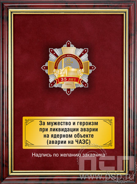 5.7.105.143. Панно с нагрудным знаком "35 лет ликвидации аварии на ЧАЭС" на бархате