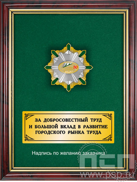 5.7.105.150. Панно с нагрудным знаком "30 лет Служба занятости" на бархате