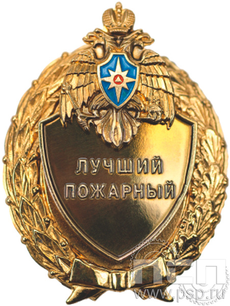 Картинка 5.05.12 Нагрудный знак "ВДПО 65 лет"