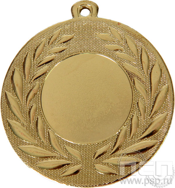 Медаль MMS503/G 50(25) G-2 мм