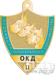 516.0(b). Жетон "ОКД II степень"