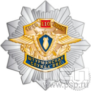 5.2(а). Нагрудный знак "110 лет Инженерно-авиационная и Штурманская службы ВВС"