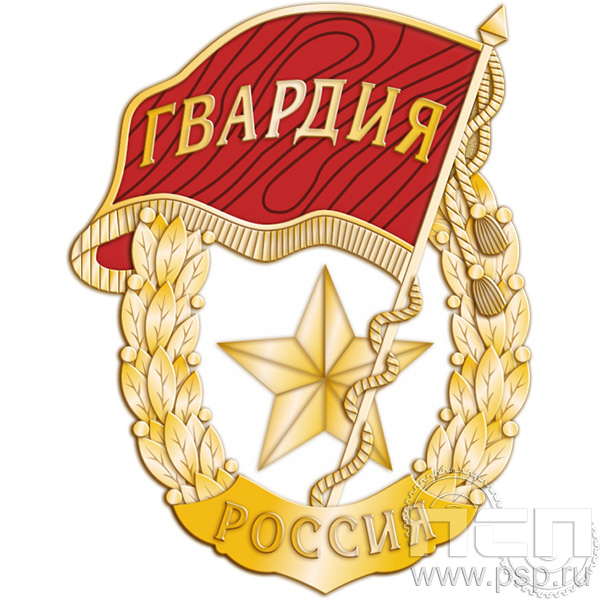 2039.0 (b) Нагрудный знак "Советская гвардия"