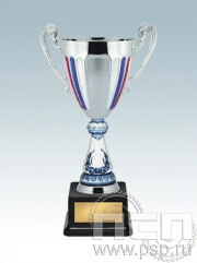 Кубок КМ1631A (43,5см) D-160