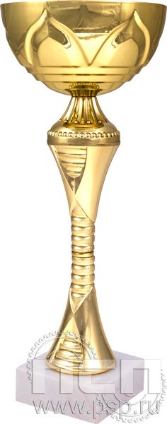 Кубок 8241G (20.5см) D-80