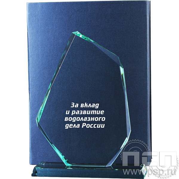 GL0002 Награда стеклянная 250х190 мм.